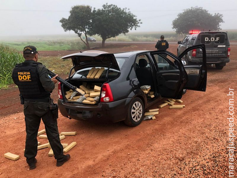 DOF prende homem com nove passagens pela polícia transportando mais de 326 quilos de droga