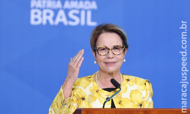 Em reunião do Plano Safra, Tereza Cristina indica que Em reunião do Plano Safra, Tereza Cristina indica que