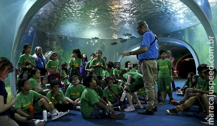 Encantamento e contemplação marcaram primeiro dia de visita ao Bioparque Pantanal