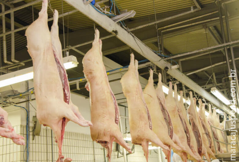 Enquanto exportações de carne bovina crescem 75%, China reduz pela metade compras de proteína suína Enquanto exportações de carne bovina crescem 75%, China reduz pela metade compras de proteína suína