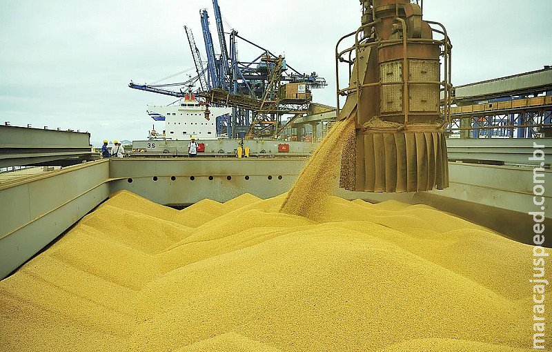 Exportações de soja devem atingir US$ 58 bilhões em 2022