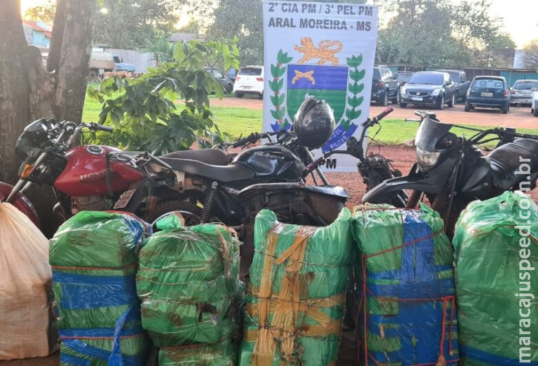 Polícia apreende quase 300 kg de droga em plantação de milho 