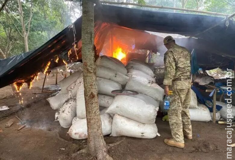 Polícia paraguaia destrói acampamentos e 38 toneladas de maconha Polícia paraguaia destrói acampamentos e 38 toneladas de maconha