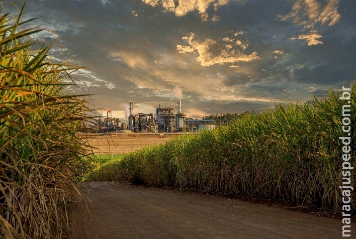 Safra avança e moagem alcança 23 milhões de toneladas na segunda quinzena de abril Safra avança e moagem alcança 23 milhões de toneladas na segunda quinzena de abril