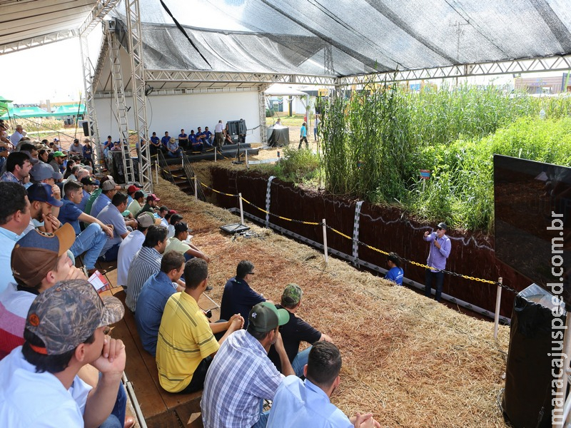 Showtec 2022 tem painéis técnicos com os maiores especialistas do país em solos, plantabilidade, plantas daninhas e enfezamento