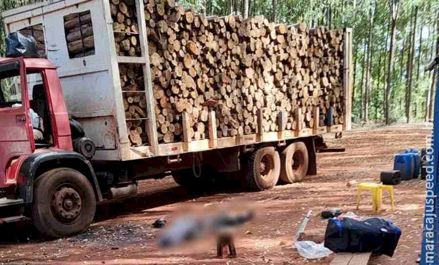 Trabalhador sobe em caminhão de lenha e morre ao encostar em fio de alta tensão Trabalhador sobe em caminhão de lenha e morre ao encostar em fio de alta tensão
