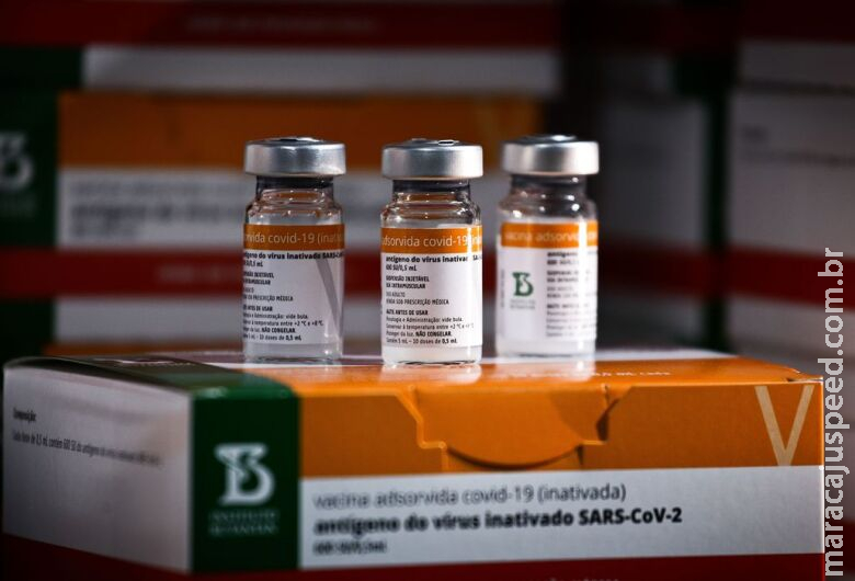 Anvisa recebe novos dados da CoronaVac para crianças de 3 a 5 anos Anvisa recebe novos dados da CoronaVac para crianças de 3 a 5 anos
