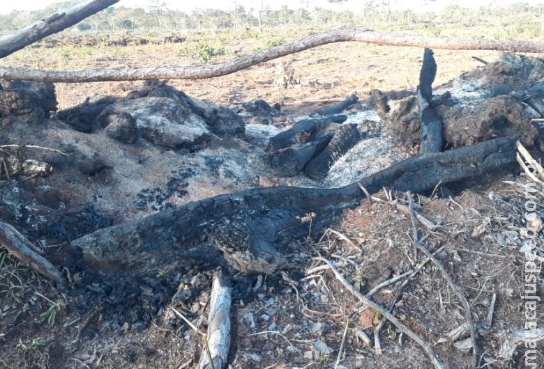 Arrendatário é autuado por incendiar restos de vegetação em período proibido