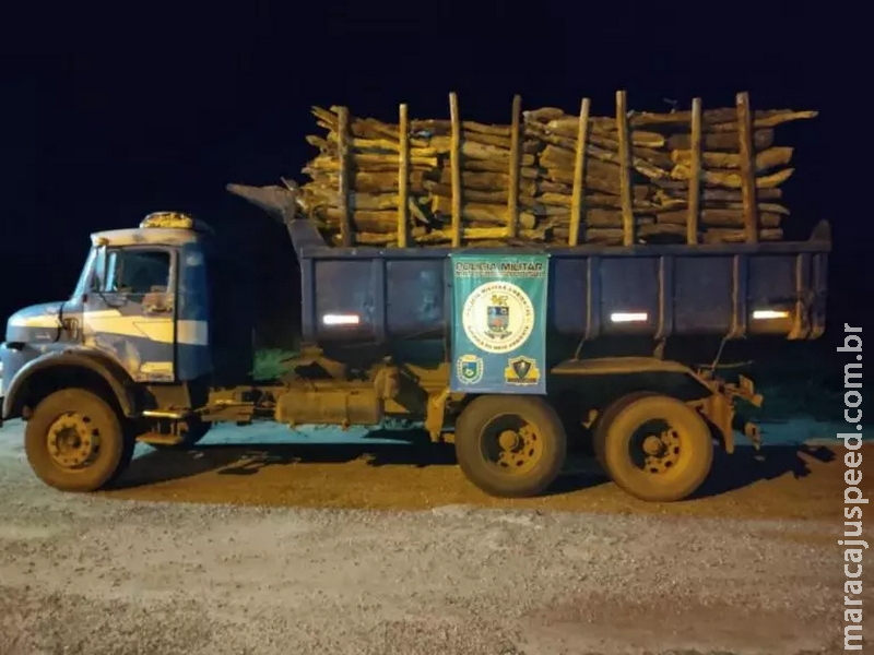 Caminhão com madeira ilegal é apreendido na MS-339