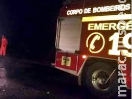 Caminhonete bate em anta, capota e deixa dois feridos na BR-359 Caminhonete bate em anta, capota e deixa dois feridos na BR-359