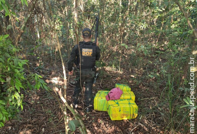 Carga de entorpecente avaliada em R$ 280 mil é apreendida em meio a mata Carga de entorpecente avaliada em R$ 280 mil é apreendida em meio a mata