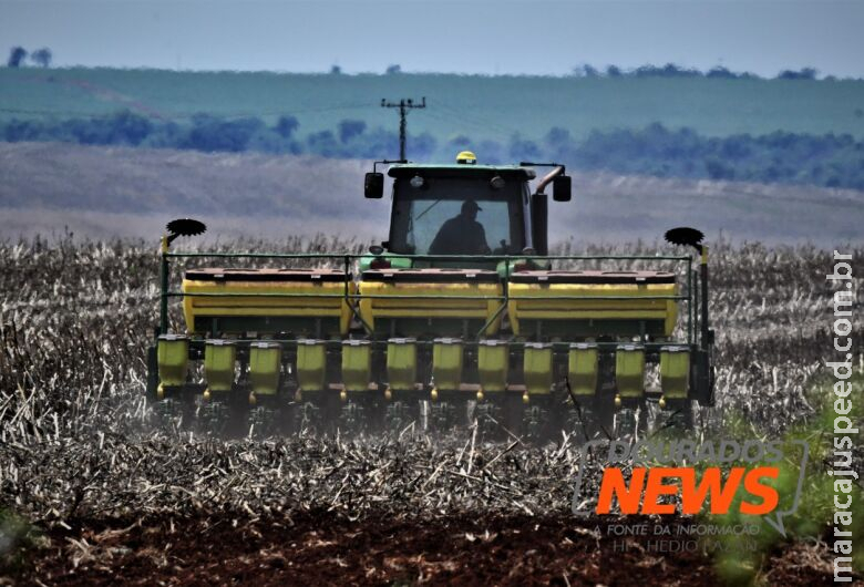 Começa hoje período de proibição do plantio da soja em MS Começa hoje período de proibição do plantio da soja em MS