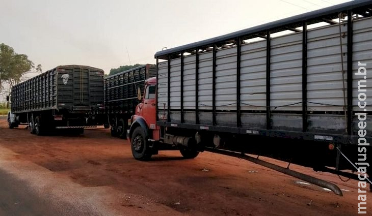 Iagro suspende obrigatoriedade do uso do aplicativo de transporte de animais