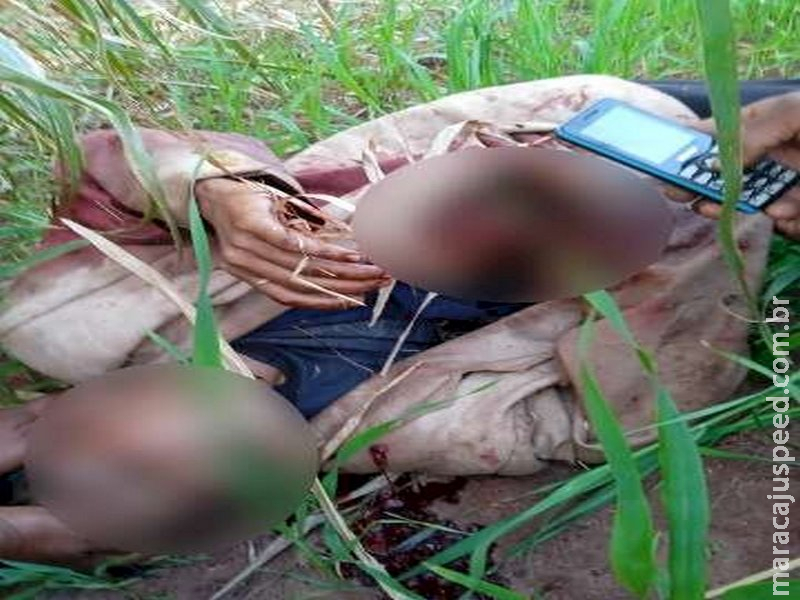 Indígena morto com 3 tiros em confronto com o Choque tinha 42 anos Indígena morto com 3 tiros em confronto com o Choque tinha 42 anos