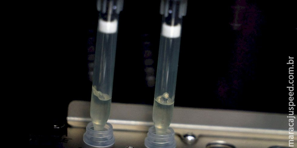 Laboratório da Fiocruz será referência em varíola dos macacos Laboratório da Fiocruz será referência em varíola dos macacos