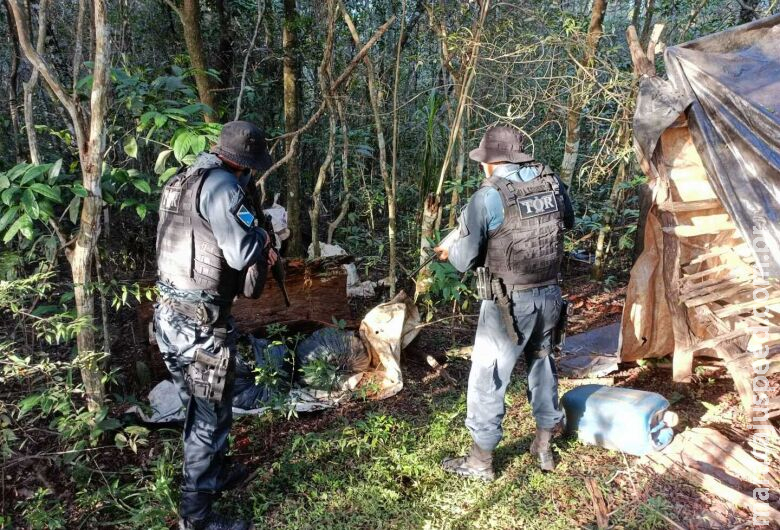 Maconha avaliada em quase R$ 280 mil é apreendida em 