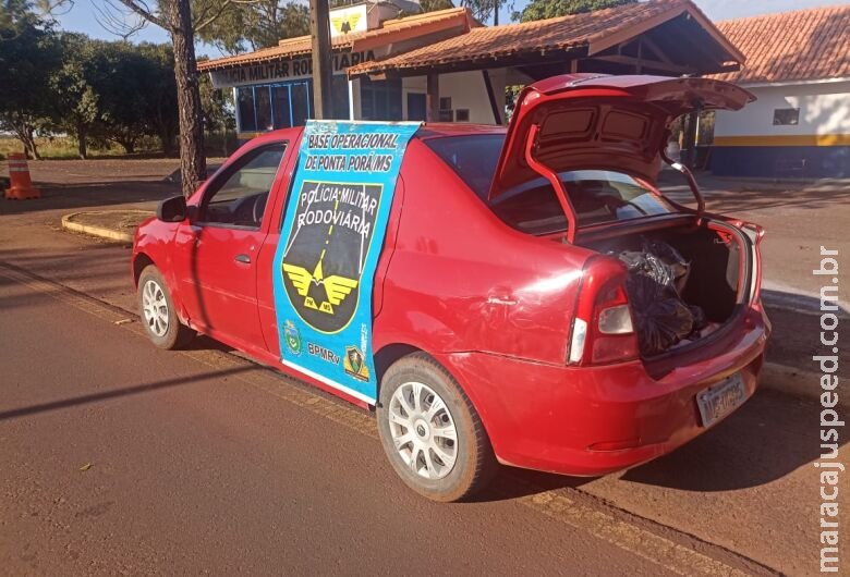 Mais de 100 tabletes de maconha são apreendidos em rodovia estadual