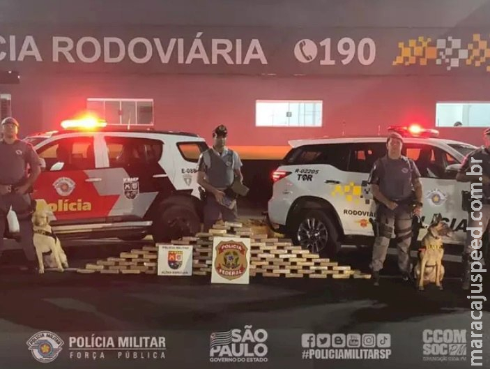 Ônibus de MS com R$ 11 milhões em cocaína é interceptado em SP Ônibus de MS com R$ 11 milhões em cocaína é interceptado em SP
