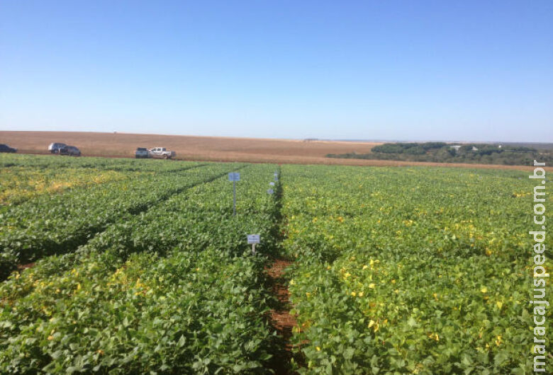 Senado aprova MP que facilita empréstimos para produtores rurais Senado aprova MP que facilita empréstimos para produtores rurais