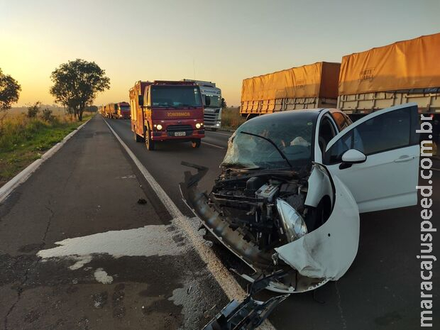 Anta atravessa rodovia e causa acidente na BR-267 Anta atravessa rodovia e causa acidente na BR-267