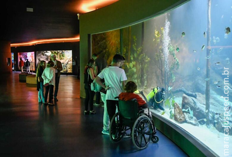 Bioparque Pantanal amplia número de vagas para visitantes Bioparque Pantanal amplia número de vagas para visitantes