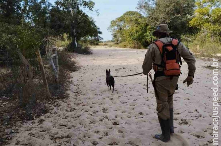 Bombeiros seguem no terceiro dia de buscas por trabalhador que desapareceu em fazenda de MS Bombeiros seguem no terceiro dia de buscas por trabalhador que desapareceu em fazenda de MS