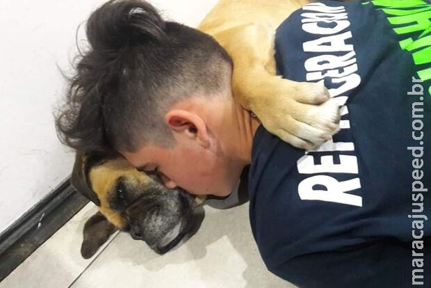 Cadela morre abraçada ao dono após sofrer ataque cardíaco causado por fogos de artifício Cadela morre abraçada ao dono após sofrer ataque cardíaco causado por fogos de artifício
