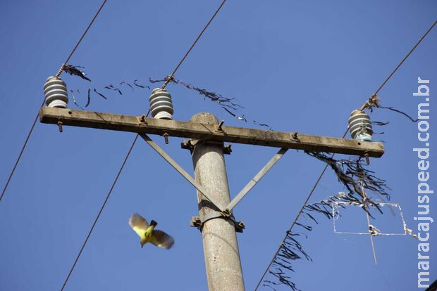 Energisa faz alerta após linha de pipa cortar fios e ferir mulheres no Tijuca