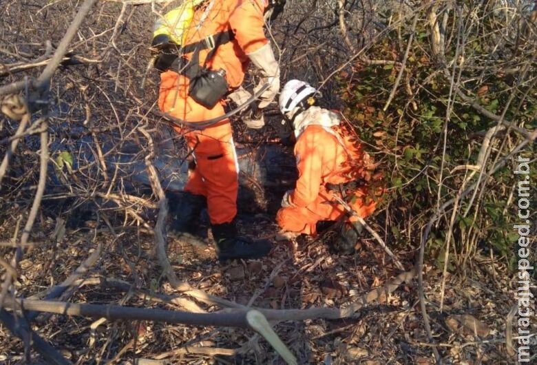 Força Nacional combaterá incêndios florestais e queimadas no Amazonas Força Nacional combaterá incêndios florestais e queimadas no Amazonas