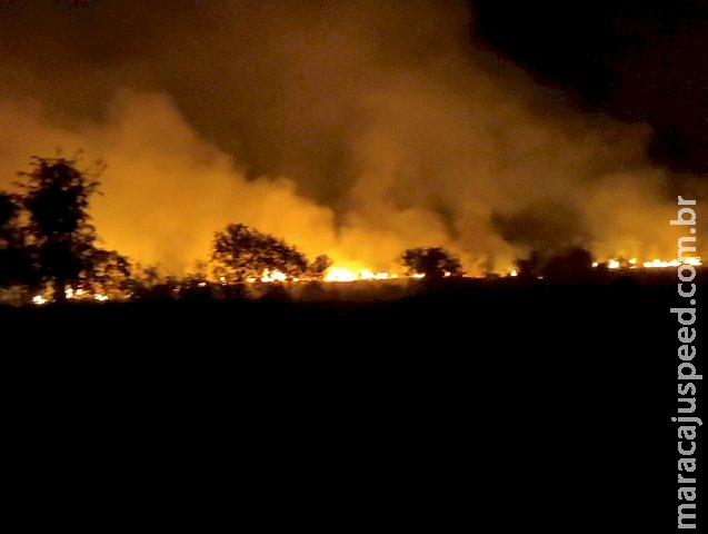 Incêndio criminoso devasta 40 mil m² de vegetação em fazenda Incêndio criminoso devasta 40 mil m² de vegetação em fazenda