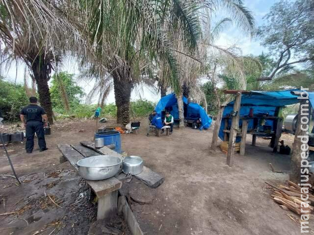 Neste ano, 72 trabalhadores foram resgatados em situação de escravidão em MS Neste ano, 72 trabalhadores foram resgatados em situação de escravidão em MS