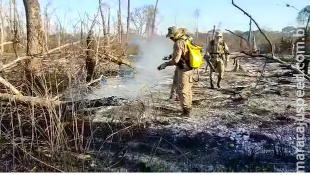 Operação Pantanal intensifica ações para combater incêndio, com reforço em MS Operação Pantanal intensifica ações para combater incêndio, com reforço em MS