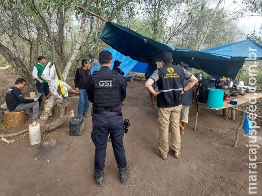 Operação resgata 337 trabalhadores de condições análogas a escravidão; 9 são de MS Operação resgata 337 trabalhadores de condições análogas a escravidão; 9 são de MS