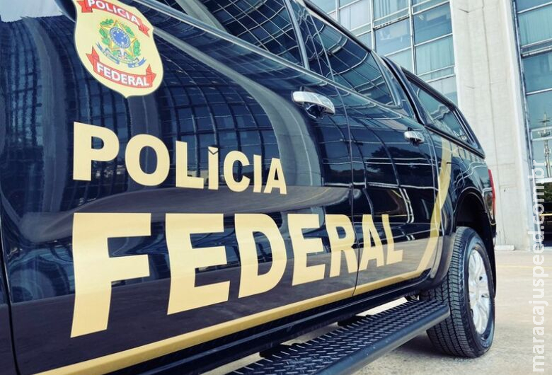 PF apreende dólares e produtos veterinários em ação contra contrabando de agrotóxico PF apreende dólares e produtos veterinários em ação contra contrabando de agrotóxico