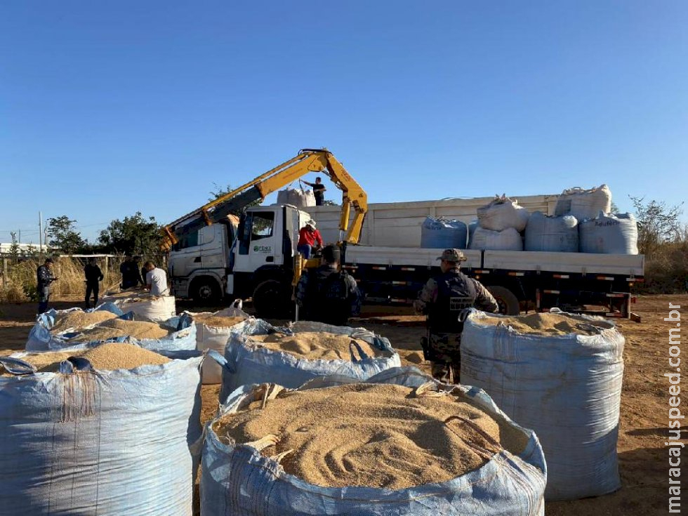 Polícia prende quadrilha e recupera 41 toneladas de soja roubadas