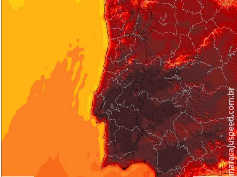 Portugal tem mil mortes relacionadas ao calor desde o início deste mês Portugal tem mil mortes relacionadas ao calor desde o início deste mês