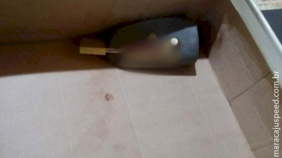 Presente bizarro: Moradora da fronteira recebe língua bovina com cadeado e balas de pistola Presente bizarro: Moradora da fronteira recebe língua bovina com cadeado e balas de pistola