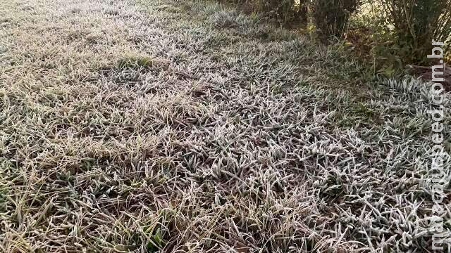 Temperatura despenca e provoca geada em 3 cidades na madrugada