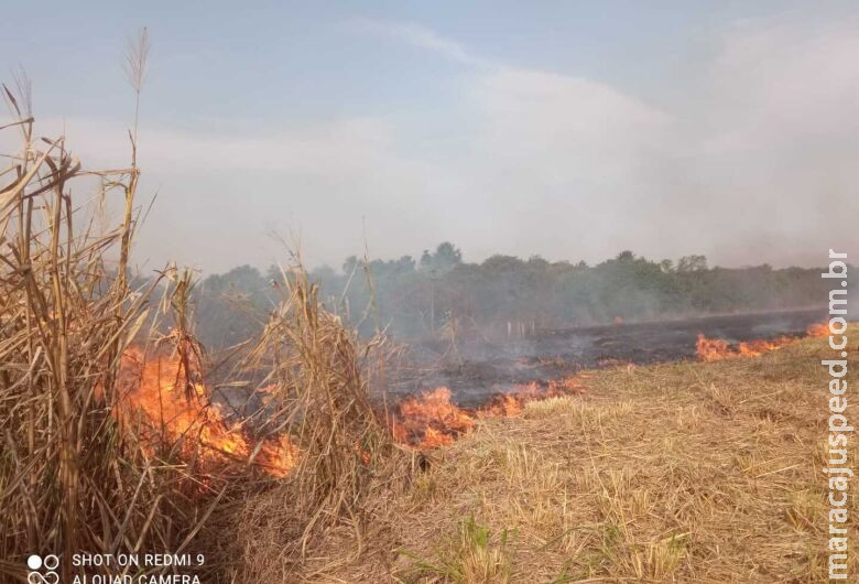 Ação conjunta extingue incêndio que ameaçava reservas nativas em propriedade rural 