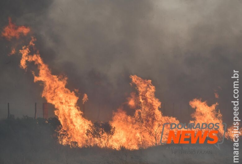 Área queimada e número de focos de calor no Estado continuam em queda