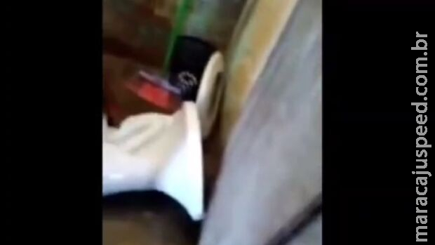 Bebê é achado em vaso sanitário de SP; garota de 14 anos escondia gestação Bebê é achado em vaso sanitário de SP; garota de 14 anos escondia gestação
