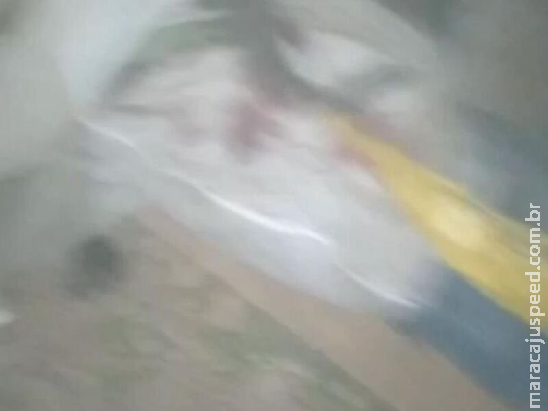 Corpo de jovem é encontrado embaixo de árvore com oito perfurações em MS Corpo de jovem é encontrado embaixo de árvore com oito perfurações em MS