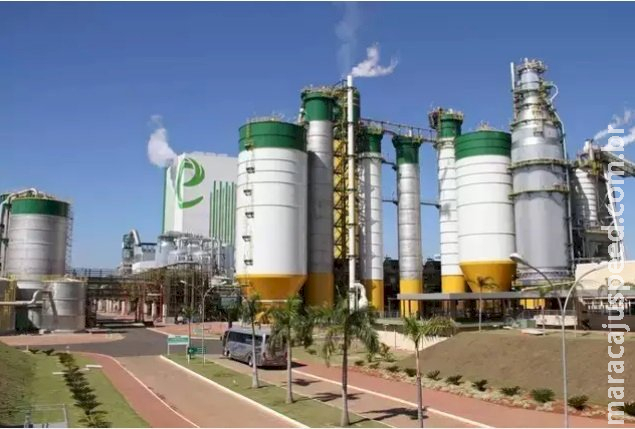Eldorado Celulose irá recorrer de decisão sobre posse da empresa Eldorado Celulose irá recorrer de decisão sobre posse da empresa