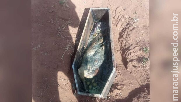 Funcionário encontra caixão de criança em Campo Grande