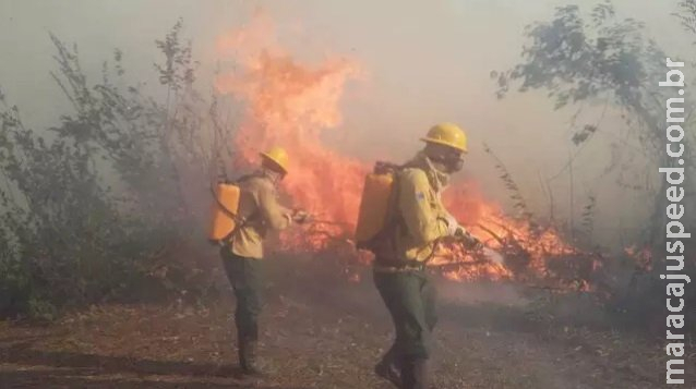 Governo Federal libera R$ 6,4 milhões para combate a incêndios florestais em MS Governo Federal libera R$ 6,4 milhões para combate a incêndios florestais em MS