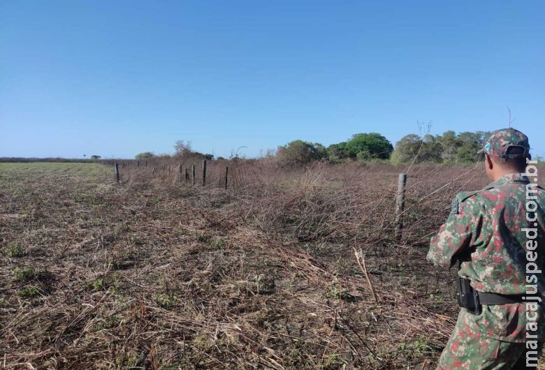 Homem é multado em quase R$ 400 mil por incêndio em propriedade rural