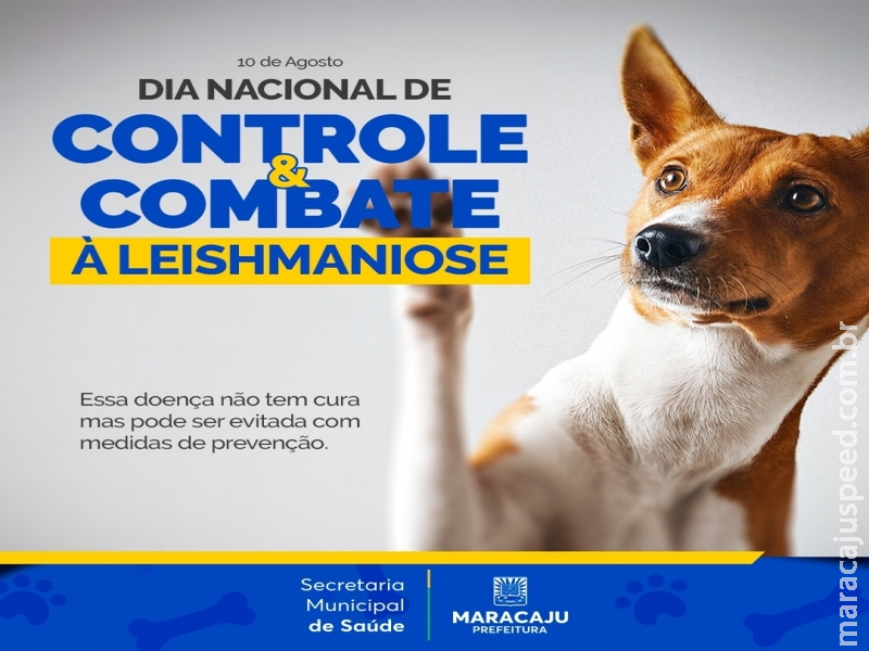 No “Dia Nacional do Controle e Combate da Leishmaniose”, Prefeitura de Maracaju reforça compromisso e abre cadastro no site para solicitar atendimentos contra essa doença