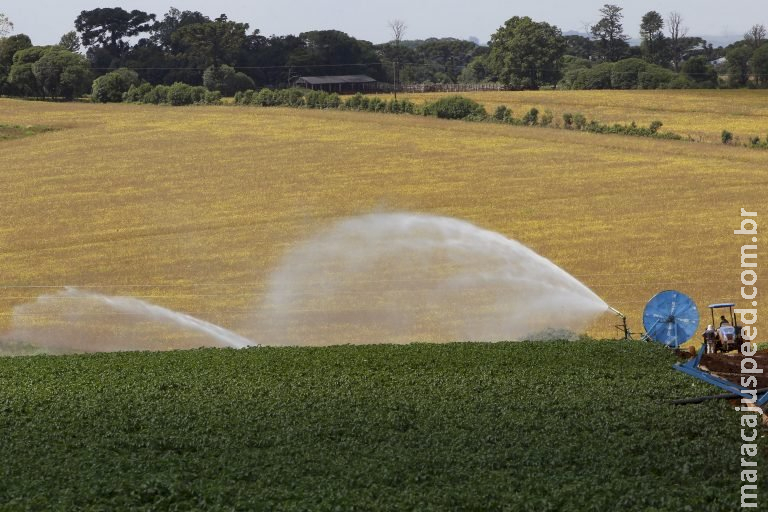 Projeto abre crédito de R$ 2,5 milhões para apoiar pequenos e médios produtores rurais Projeto abre crédito de R$ 2,5 milhões para apoiar pequenos e médios produtores rurais