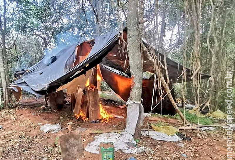 Senad destrói ‘acampamentos do tráfico’ usados por organização criminosa Senad destrói ‘acampamentos do tráfico’ usados por organização criminosa