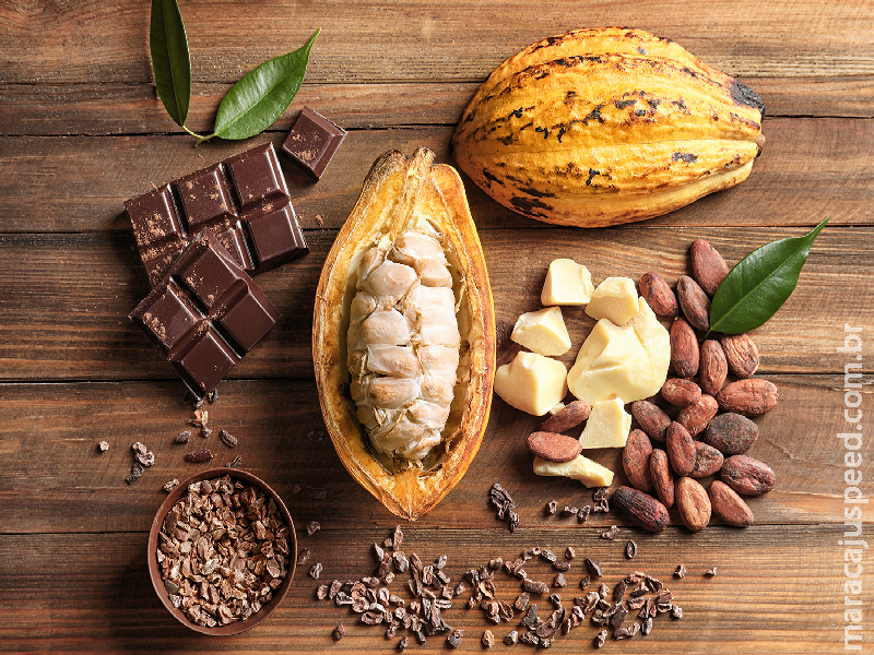Vassoura-de-bruxa reduziu produção de cacau durante décadas, mas ciência gerou soluções para impedir alta no preço do chocolate Vassoura-de-bruxa reduziu produção de cacau durante décadas, mas ciência gerou soluções para impedir alta no preço do chocolate